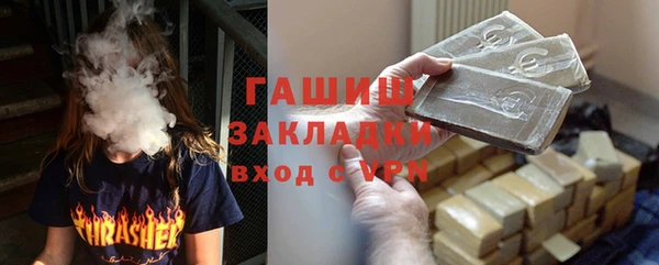 гидра Инта