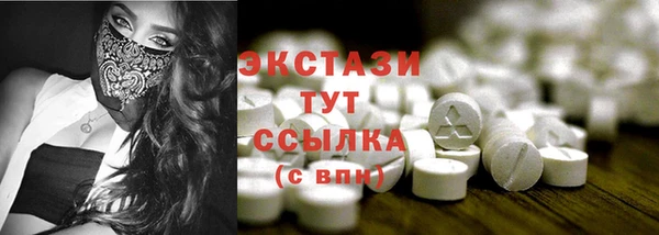 гидра Инта