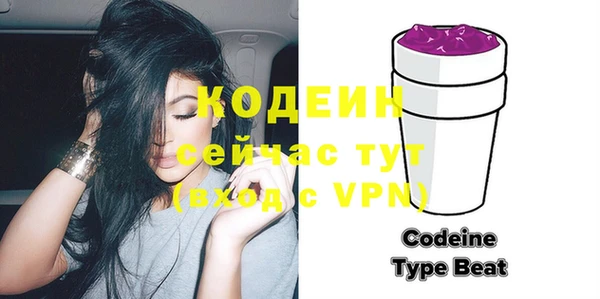гидра Инта