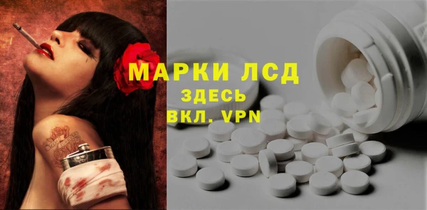 гидра Инта