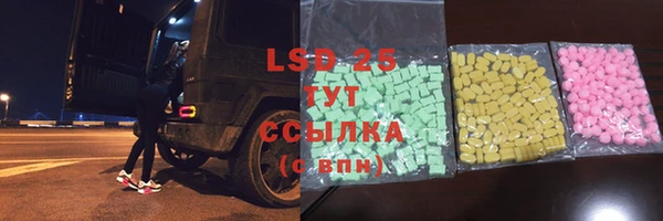 гидра Инта