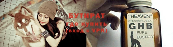 гидра Инта