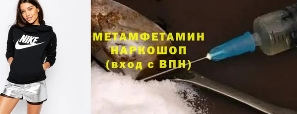 гидра Инта