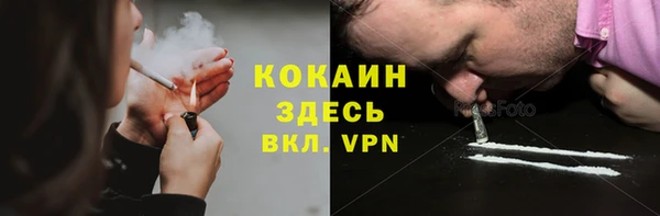 гидра Инта