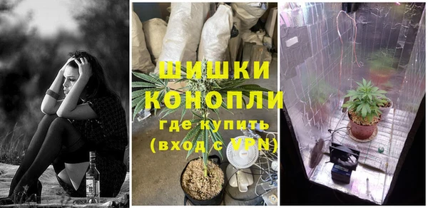 молекула духа Инсар