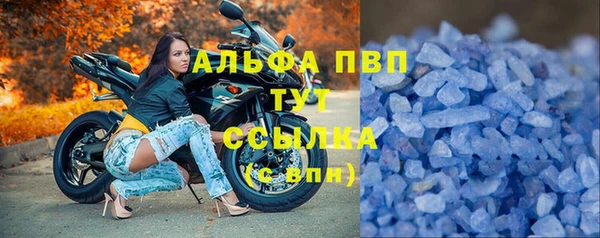 молекула духа Инсар