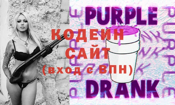 гидра Инта