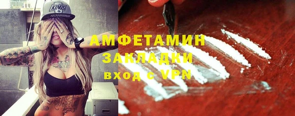 гидра Инта