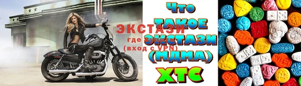 гидра Инта