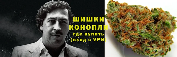 гидра Инта
